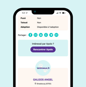 Contacter une association via la fiche d'un animal