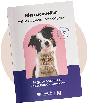 Couverture du livre numérique "Bien accueillir votre nouveau compagnon"