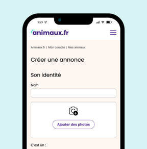 Interface de publication d'une annonce